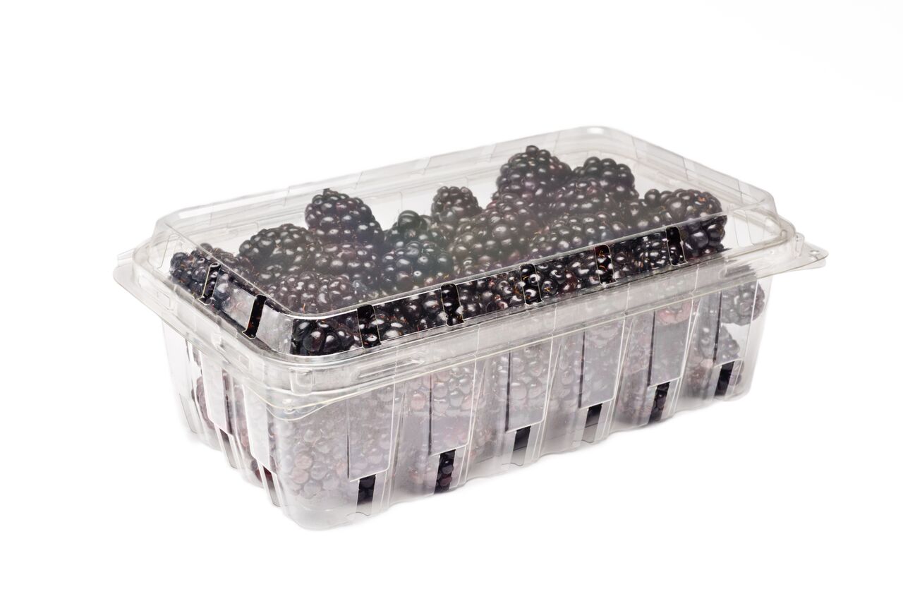 H516-blackberry 12oz-02