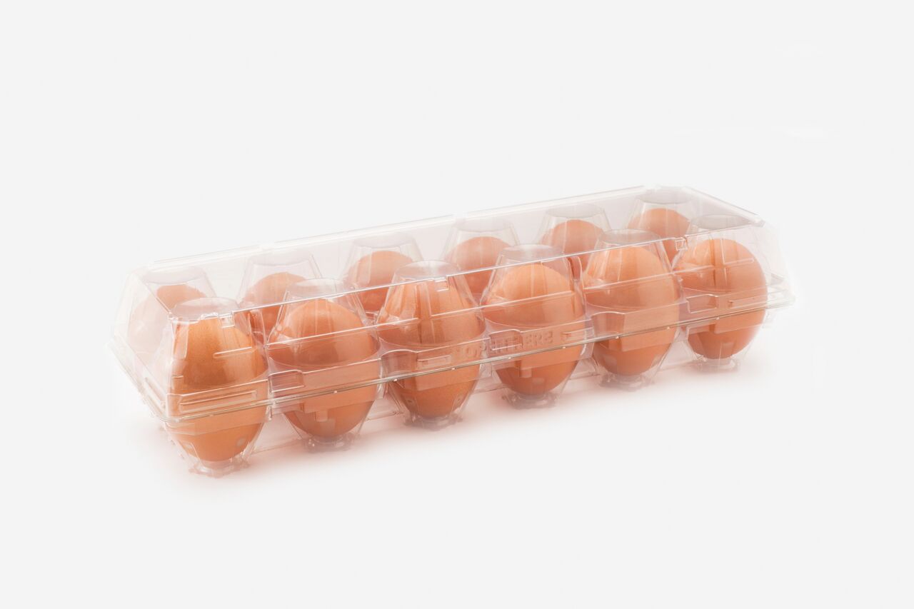 H12S_Brown_White_Low